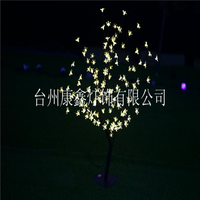 IMG_8494_副本